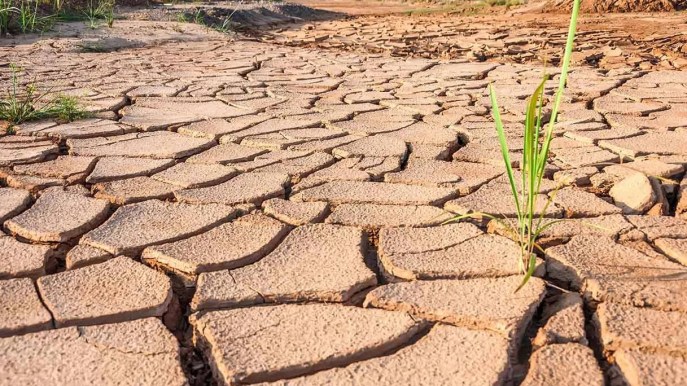L’adattamento ai cambiamenti climatici è la priorità per gli italiani dopo il carovita