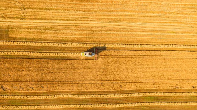 Giornata Nazionale dell’Agricoltura, in Italia è sostenibile solo il 20% delle coltivazioni