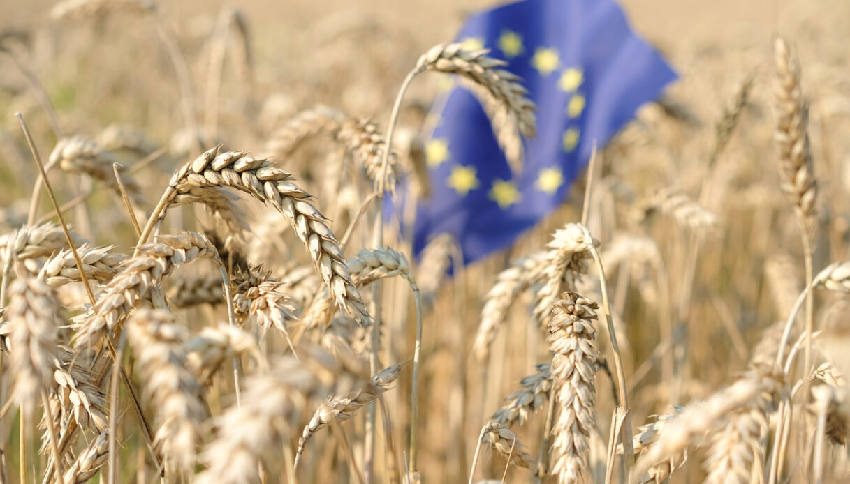 Green Deal Europeo, che cos’è e cosa prevede