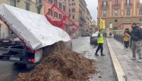 Attivisti per il clima, le proteste più strane e originali