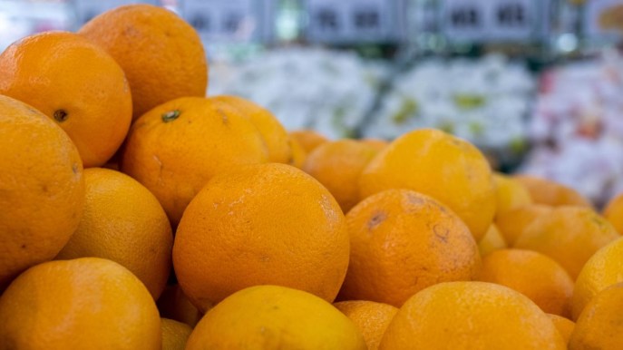 La crisi del mercato delle arance siciliane, minacciate da siccità e prezzi in calo