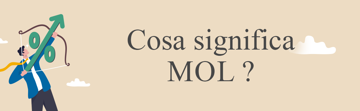 MOL (Margine operativo lordo)