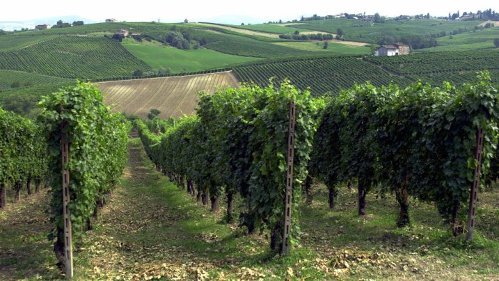 Leone Alato di Generali prima azienda food a ottenere l’approvazione Sbti per le emissioni