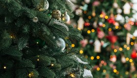 Natale sostenibile, dieci azioni per festeggiare riducendo l’impatto ambientale e sociale