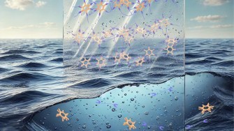 Plastica biodegradabile, dal Giappone la nuova invenzione per dire addio alle microplastiche