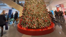 I giovani non faranno regali, l’entità della crisi si manifesta a Natale