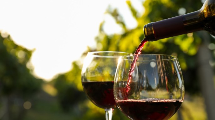 Anche in Italia arrivano i vini dealcolati, le novità del decreto Lollobrigida