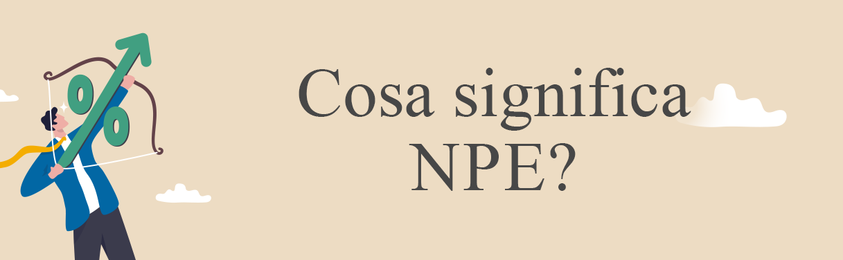 NPE (Non Performing Exposures)